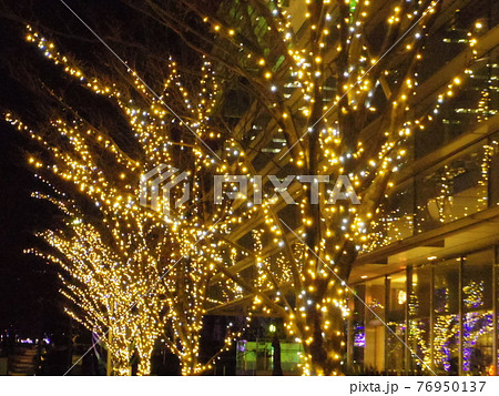 カラー　ネオン　夜景　照明（2021年4月登録）　最大サイズ：M 76950137