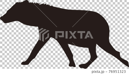 ハイエナ シルエット イラスト ハイエナ シルエット イラスト 76951323