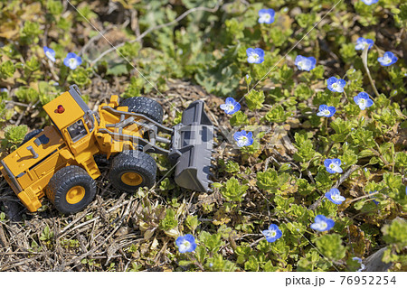 花畑を破壊するホイールローダー 76952254