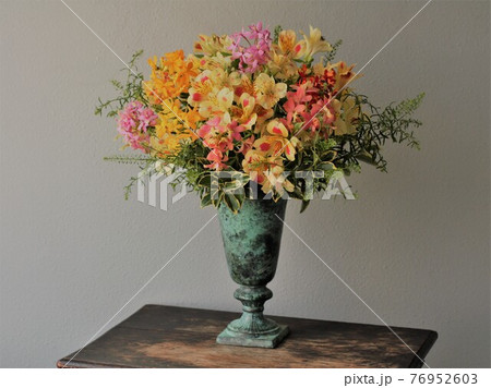 エピデンドラム 76952603