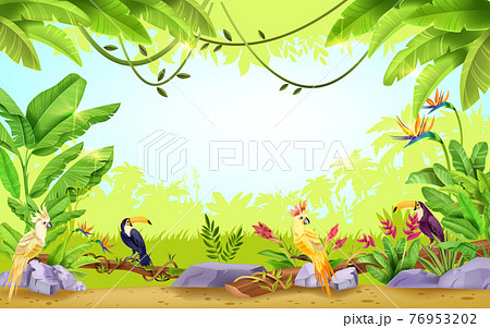 Jungle Vector Tropical Rainforest Frame Nature のイラスト素材