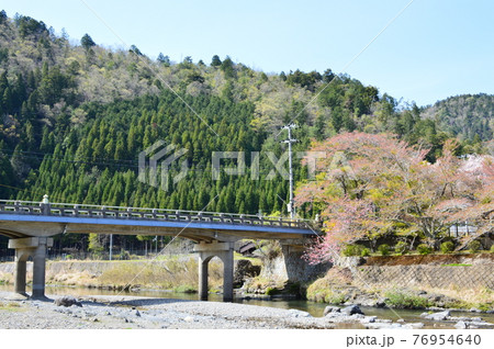 桜と川 76954640