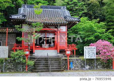 君が代発祥の地 大宮神社 春の風景 君が代発祥の地 大宮神社 春の風景 76955946