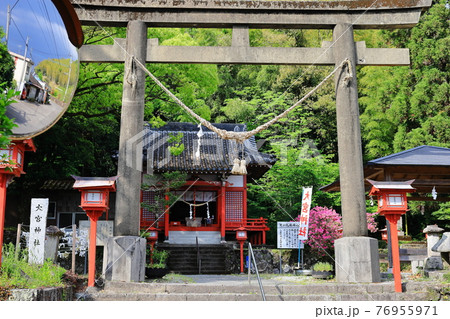君が代発祥の地　大宮神社　春の風景 76955971