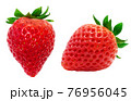 いちご 苺 イラスト リアル  76956045