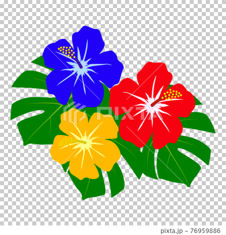 Hibiscus and Monstera 76959886