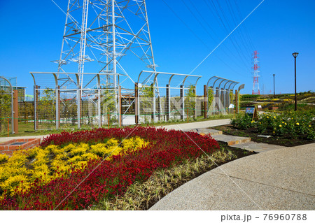 新しい宮前公園のカラフルな花壇と青空　新設公園　 76960788