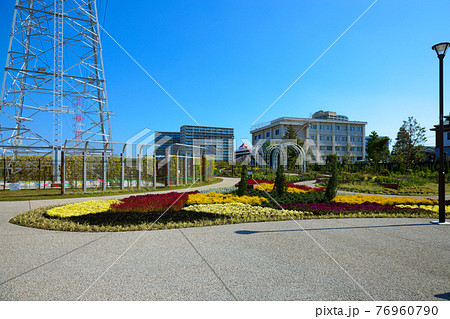 新しい宮前公園のカラフルな花壇と青空　新設公園　 76960790