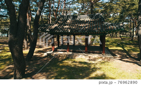 天然記念物 公園 木 76962890