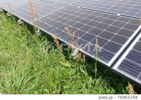 雑草が生い茂った太陽光発電所 76963298