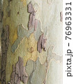 木目 76963331