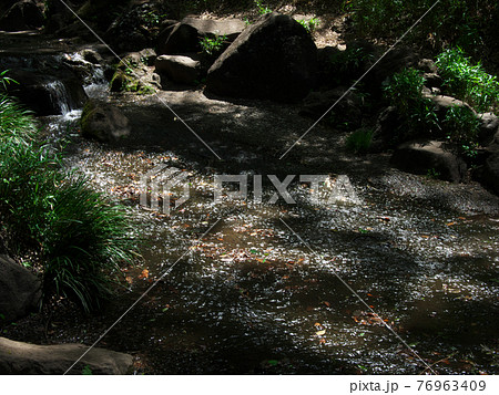 【東京都・2021年4月】 有栖川宮公園の渓流 自然風景 【東京都・2021年4月】 有栖川宮公園の渓流 自然風景 76963409