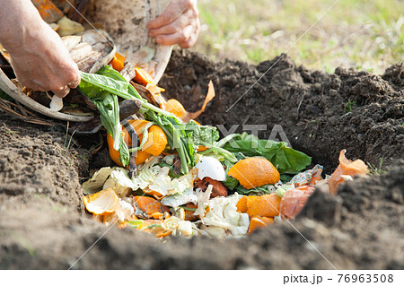生ゴミを埋める手 生ゴミを埋める手 76963508