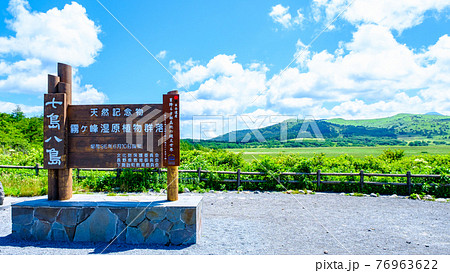 夏の八島ヶ原湿原（八島湿原） 76963622