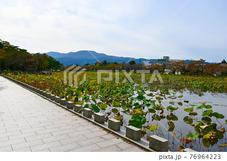 高田城址公園 西堀 高田市 高田城址公園 西堀 高田市 76964223