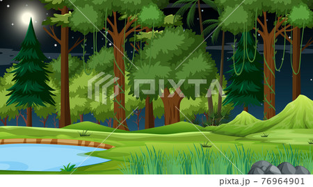 Forest nature scene with pond and many trees at night 76964901