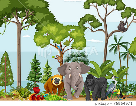 Rainforest scene with wild animals 76964971