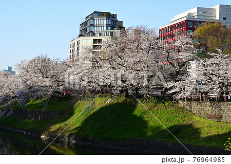 東京都千代田区 千鳥ヶ淵 春桜満開 イタリア文化会館 の写真素材 東京都千代田区 千鳥ヶ淵 春桜満開 イタリア文化会館 の写真素材