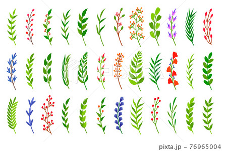 Curved green silhouette laurel branches set vector 76965004