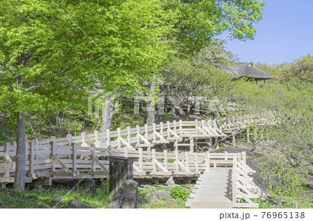 筑波山梅林　展望四阿 76965138