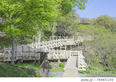 筑波山梅林　展望四阿 76965139