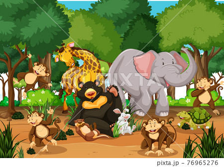 Wild animals in the jungle 76965276
