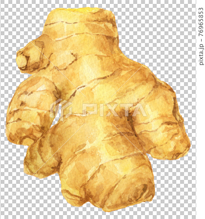 水彩姜_一大塊 水彩姜_一大塊 76965853