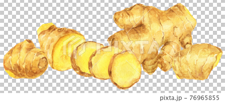 Watercolor ginger _ side by side 76965855