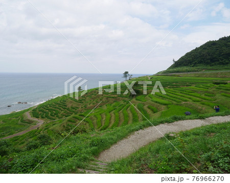 棚田　景色 76966270