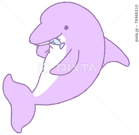 お魚を食べるイルカ 紫色 のイラスト素材