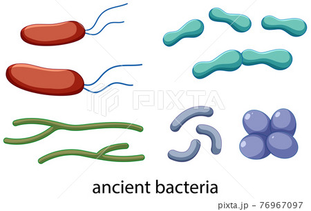Ancient bacteria icons set isolated on white background Ancient bacteria icons set isolated on white background 76967097