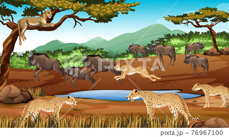 Group of Wild African Animal in the forest scene 76967100