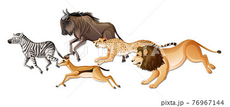 Group of wild African animals on white background 76967144