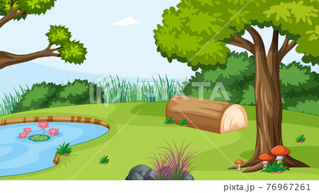 Nature outdoor forest background Nature outdoor forest background 76967261