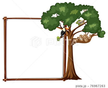 Empty banner with wild animal on a big trees on white background Empty banner with wild animal on a big trees on white background 76967263