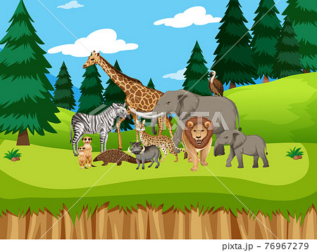 Group of wild african animal in the forest scene 76967279