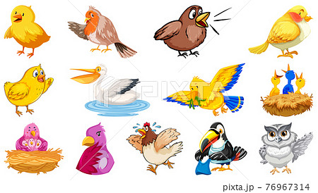 Set of different birds cartoon style isolated on white background 76967314