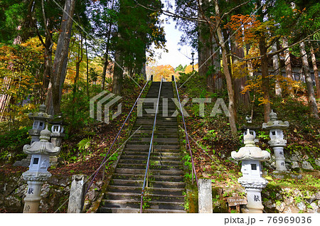 戸隠神社中社　参道の石段　長野市戸隠 76969036