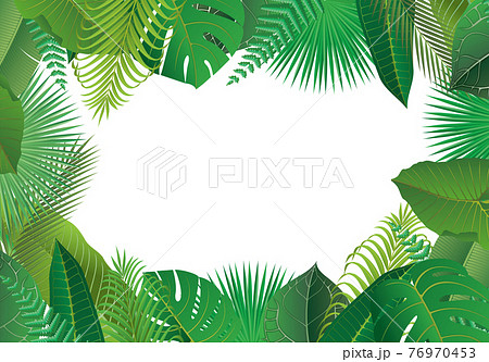 熱帯に茂る植物の葉のフレーム 熱帯に茂る植物の葉のフレーム 76970453