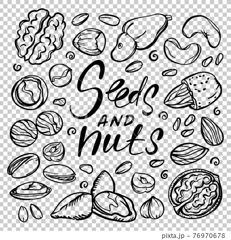 Drawing Line Art Food Illustration - Body Jewelry - Vector Painted Peanuts  And Bread Transparent PNG