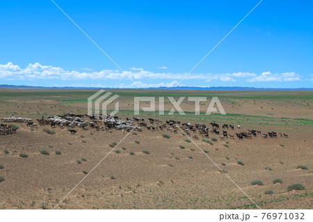モンゴルの遊牧民と家畜 Mongolian Grazing モンゴルの遊牧民と家畜 Mongolian Grazing 76971032
