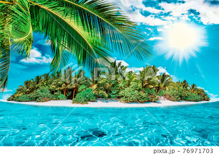Whole tropical island within atoll in tropical Ocean on a summer day. Uninhabited and wild subtropical isle with palm trees. Equatorial part of the ocean, tropical island resort. 76971703