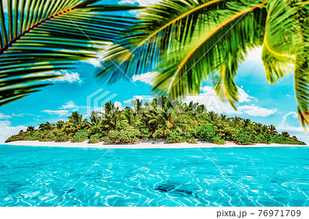 Whole tropical island within atoll in tropical Ocean on a summer day. Uninhabited and wild subtropical isle with palm trees. Equatorial part of the ocean, tropical island resort. 76971709