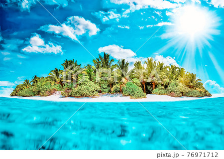 Whole tropical island within atoll in tropical Ocean on a summer day. Uninhabited and wild subtropical isle with palm trees. Equatorial part of the ocean, tropical island resort. 76971712