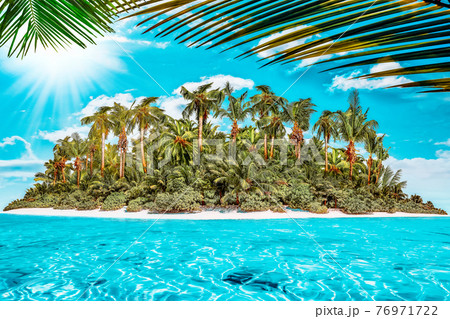 Whole tropical island within atoll in tropical Ocean on a summer day. Uninhabited and wild subtropical isle with palm trees. Equatorial part of the ocean, tropical island resort. 76971722
