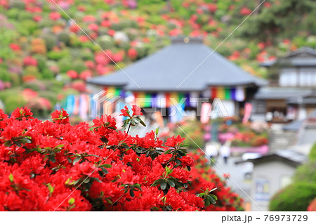 塩船観音寺(しおぶねかんのんじ) 護摩堂 東京都青梅市塩船 塩船観音寺(しおぶねかんのんじ) 護摩堂 東京都青梅市塩船 76973729