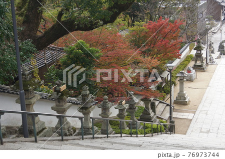 山口県 防府市 防府天満宮 参道の石灯籠と紅葉 山口県 防府市 防府天満宮 参道の石灯籠と紅葉 76973744