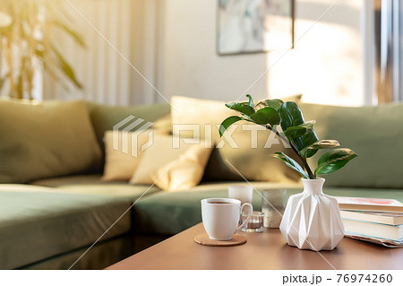 Relaxing time at comfort green interior loft house, vase with zamioculcas Relaxing time at comfort green interior loft house, vase with zamioculcas 76974260