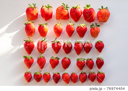 白い背景の上に並んだたくさんのいちご。並べてみた。 76974404