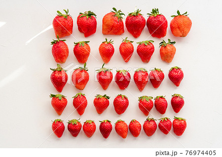 白い背景の上に並んだたくさんのいちご。並べてみた。 白い背景の上に並んだたくさんのいちご。並べてみた。 76974405